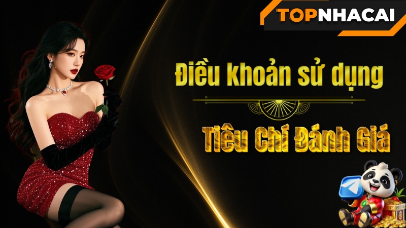 Điều Khoản Sử Dụng - Quyền Và Trách Nhiệm Của TopNhaCai.casino